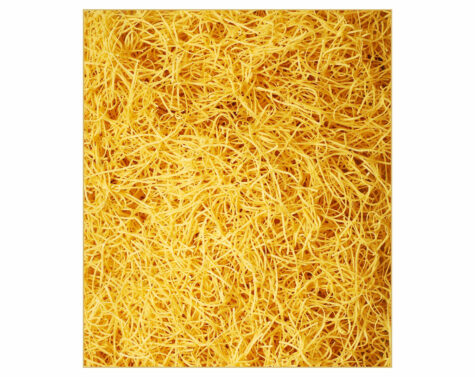 Domáce cestoviny niťovky vlásočnice